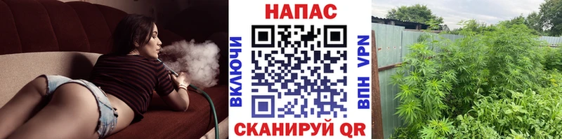 Шишки марихуана тримм  KRAKEN зеркало  Брюховецкая 